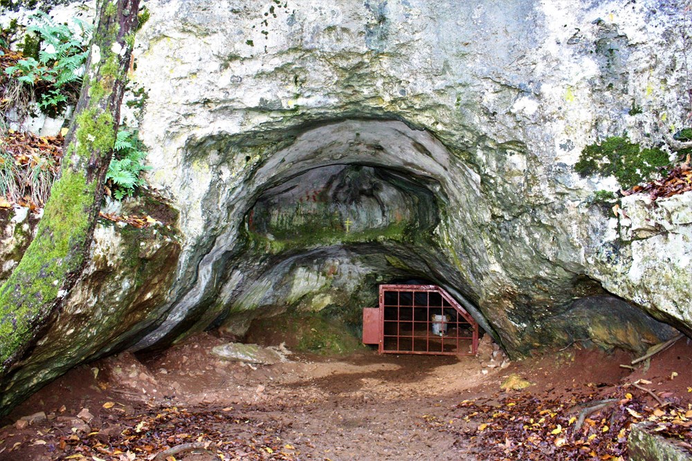Romualdova pećina - ulaz